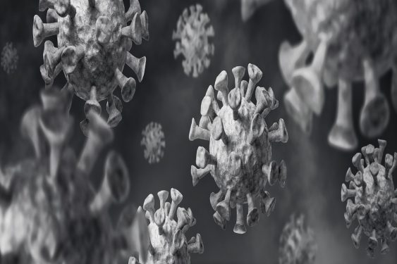Coronavirus graphic showing the crown like protein spikes of the virus
