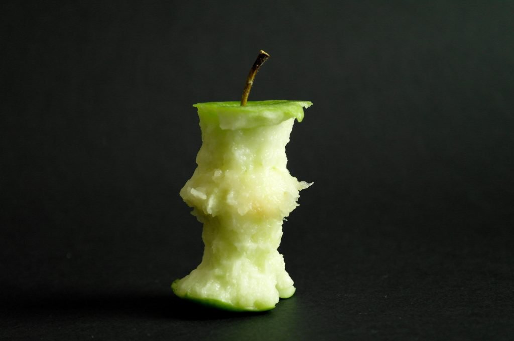 An apple core to represent the core of bookkeeping. Its a play on words as core is similar to chore.